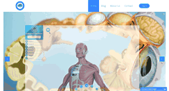 Desktop Screenshot of animatedanatomy.com